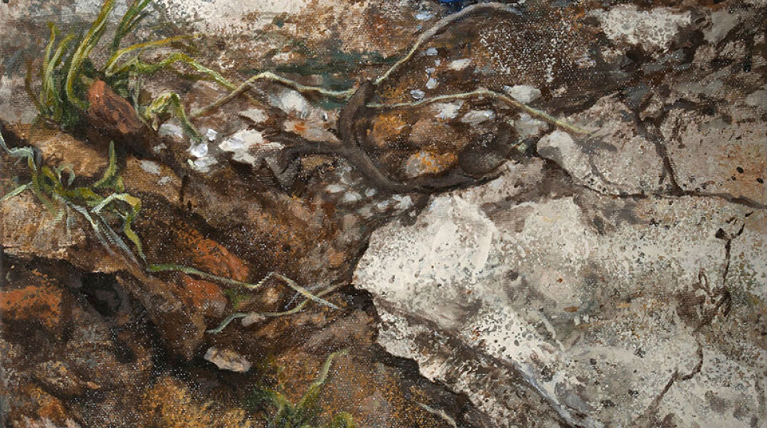 Τάνια Δρογώση, Ατάκτως ερριμμένα