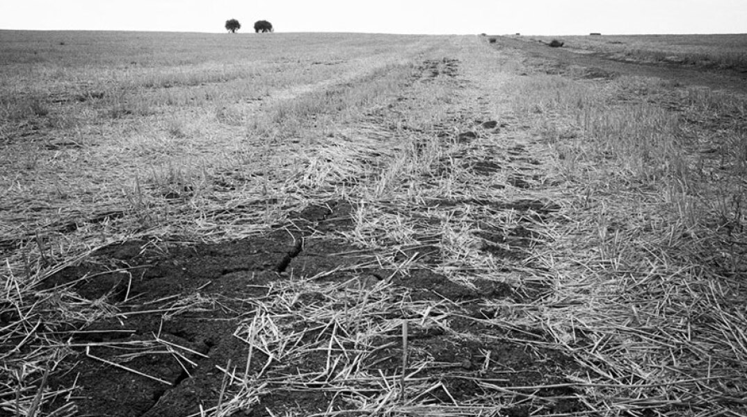 Μαρία Μπουρμπού, Επιφάνεια
