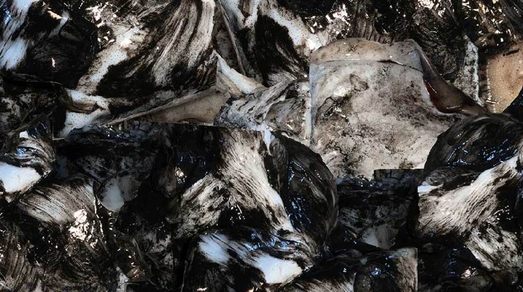 Γιώργος Μαραζιώτης, Rush, Rash, Rush