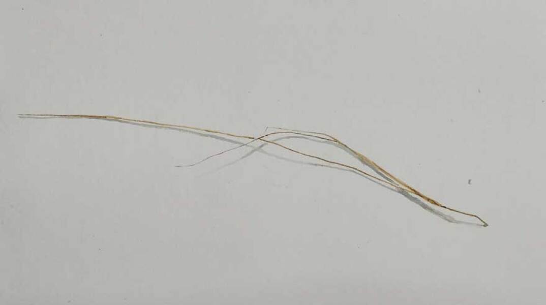 Παναγιώτης Κουλουράς, Σημειώσεις για την Κόρη