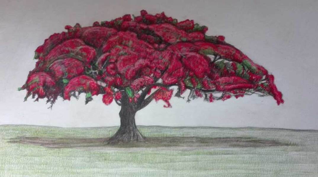 Αμαλία Σταυρουλάκη, Human trees