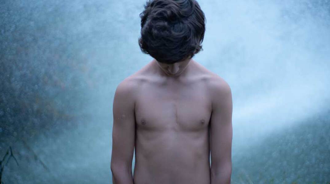 Δημήτρης Μυτάς, Dreamtigers