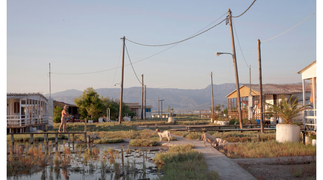 The Provinces | T.A.F / the art foundation