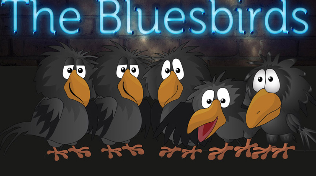 The Bluesbirds "rock n' blues hits from the 60's, 70's"  