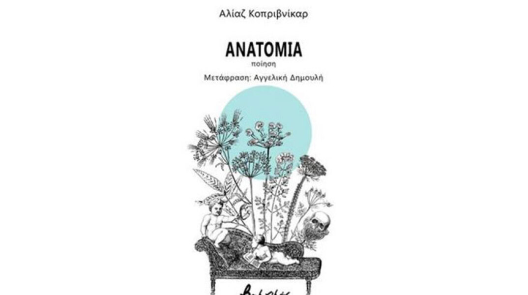 anatomia.jpg