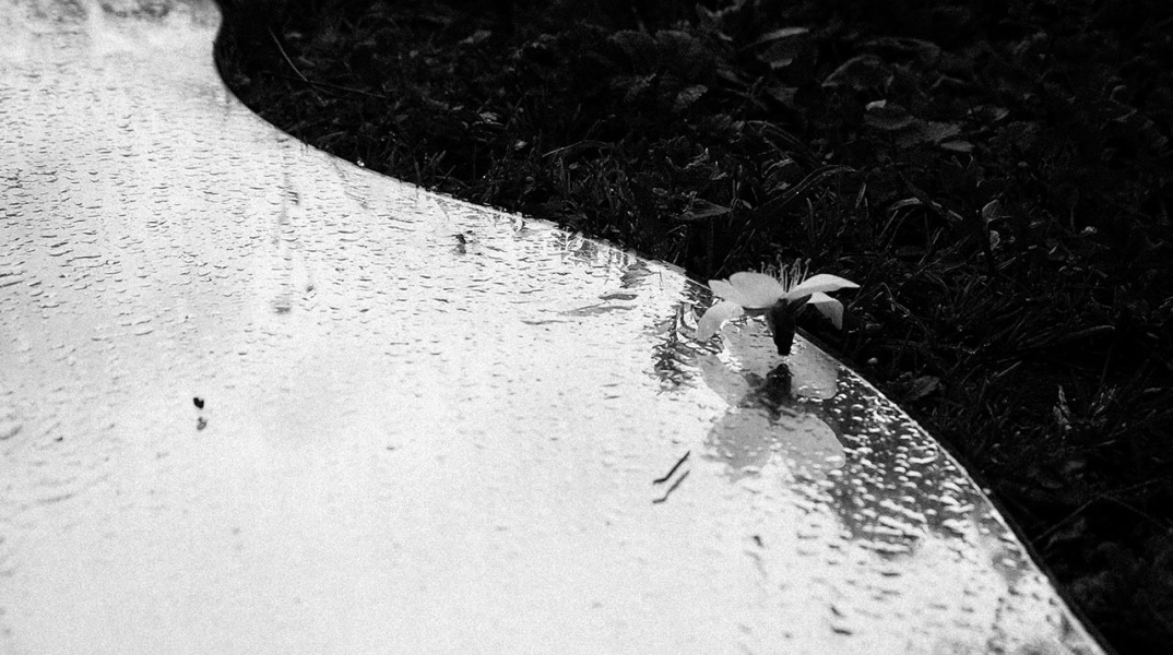 Inside OUT - Φωτογραφική Εγκατάσταση