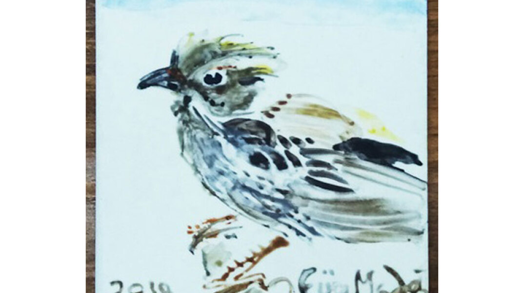 Εύα Μελά, Διακοσμητικά και άλλα... Ζωγραφική και εφαρμογές