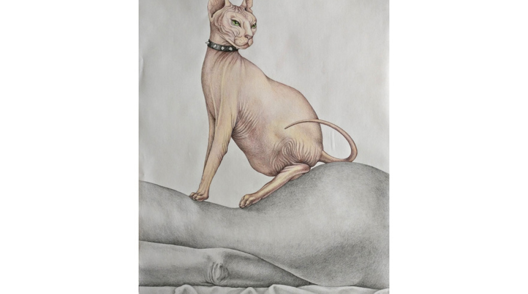 «Αrtists like Cats, Soldiers like Dogs» στην ArtZone 42 / Έφη Δούλια, «Επιτηδευμένη πόζα», μολύβι και ξυλομπογιά ακουαρέλας σε χαρτί