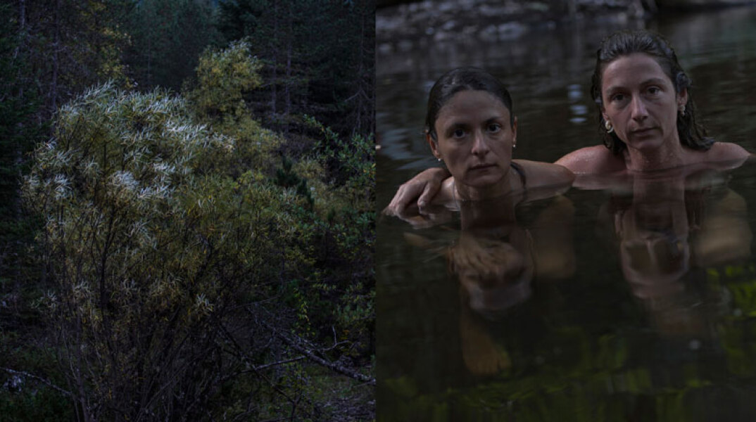 Χάρης Κακαρούχας, Natural Presence