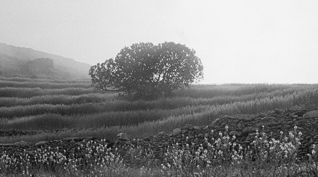 Ευγενία Κουμαντάρου. Ταπεινός Παράδεισος / Μουσείο Μπενάκη - Κτήριο Οδού Πειραιώς