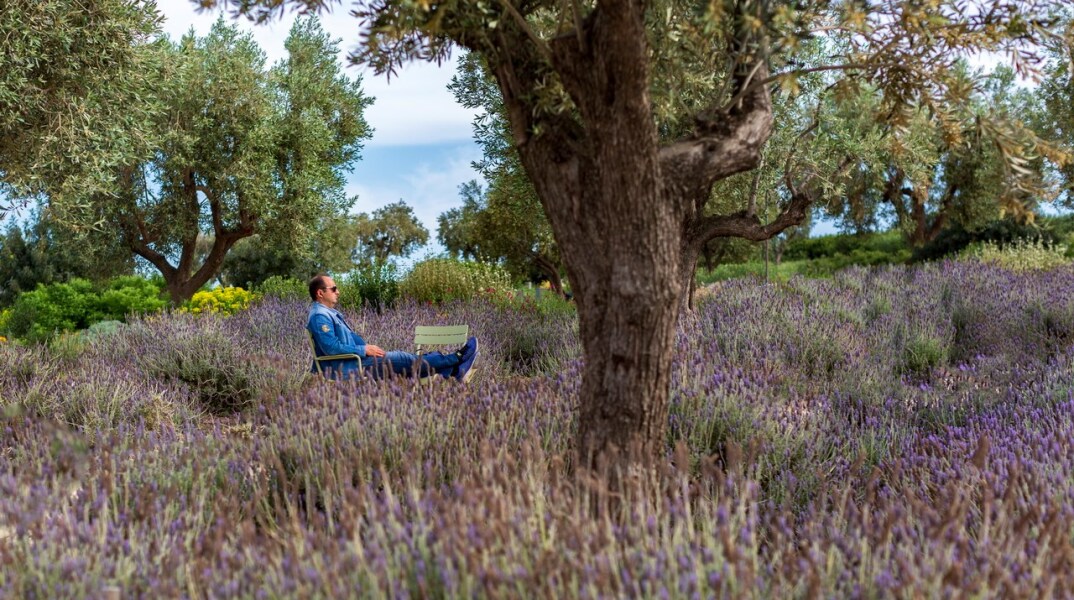 omadiki fotografiki ekthesi eftihia - dimarheio peristeriou