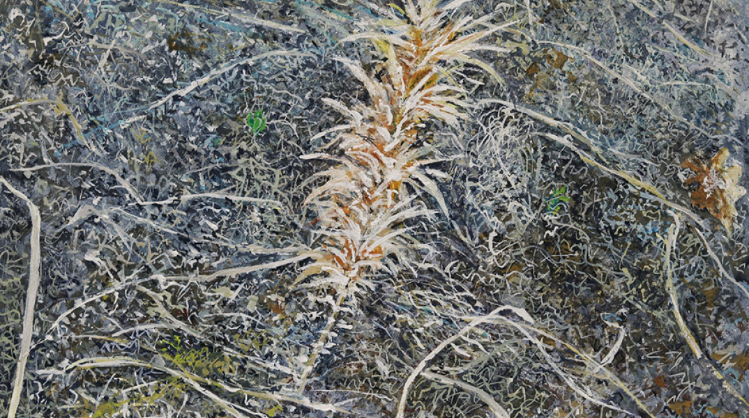 maria vasilaki gallery 7