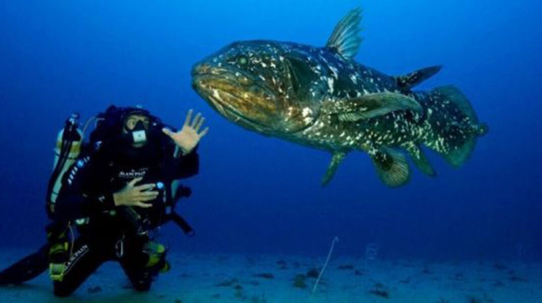 Laurent Ballesta mouseio goulandri kentro gaia