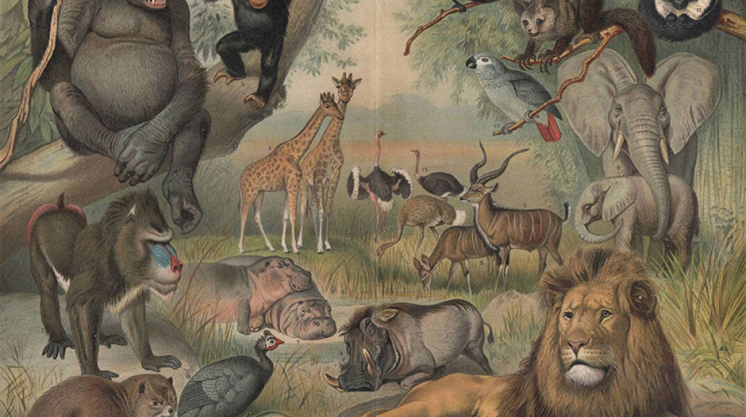 «The Sea Between my Soul» στη Στέγη του Ιδρύματος Ωνάση