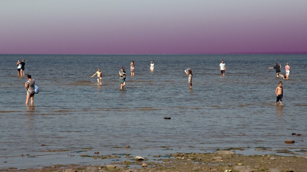 ©Nova Melancolia Gallery