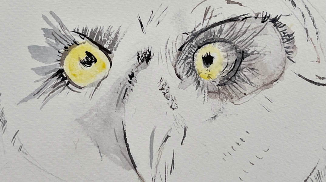 Μάρω Μιχαλακάκου