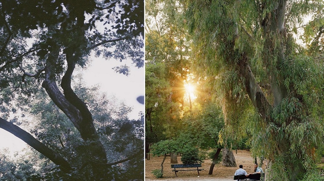 Από την έκθεση «Μεταξύ και Ανάμεσα».
