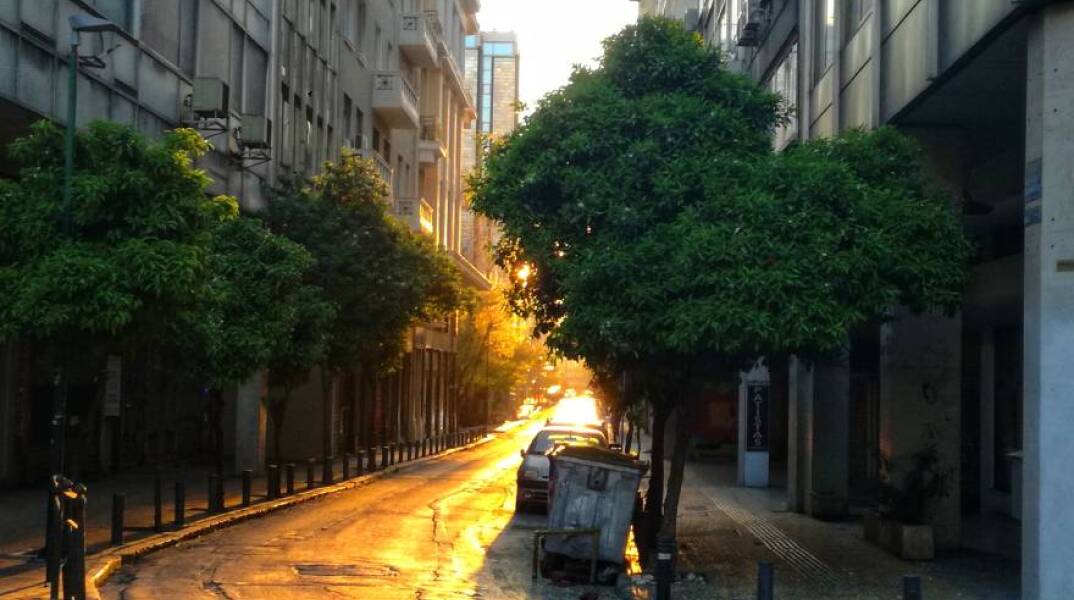 «Bliss» στο Ίδρυμα Εικαστικών Τεχνών Τσιχριτζή