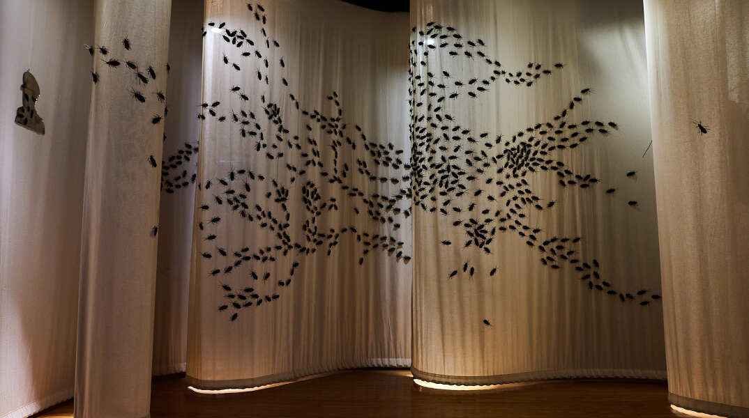 Capten: «Cockroaches – Κατσαρίδες» στο ΠΟΛΥΤΡΟΠΟΝ