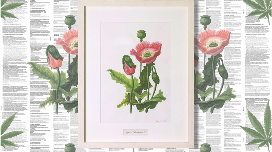 «O Αφρός των ημερών» στην γκαλερί 7