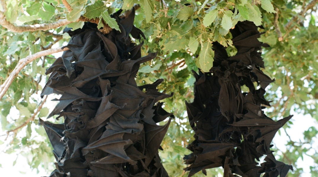 Ρακόρ / Continuity: Έκθεση της Ντόρας Οικονόμου στο Ολύμπια