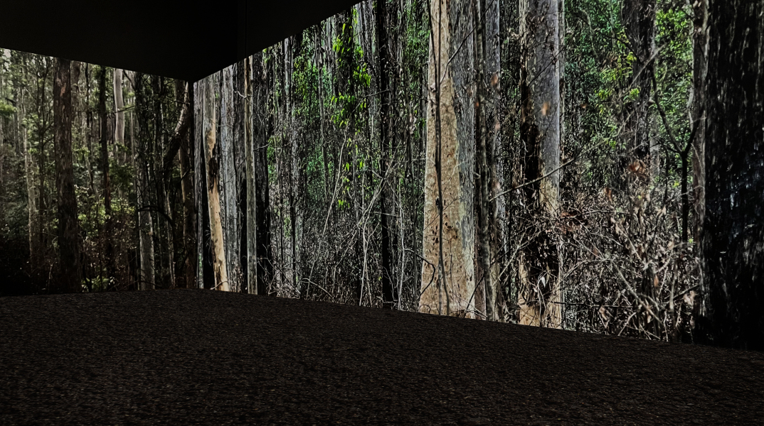 Δανάη Στράτου, «Burning Issues - Merimbula» στο Κέντρο Τεχνών Δήμου Αθηναίων