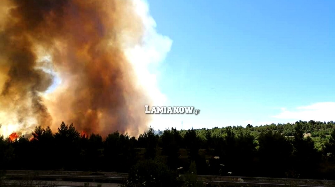 Φωτιά δίπλα στην Εθνική Οδό Αθηνών - Λαμίας στο ύψος του Μαρτίνου