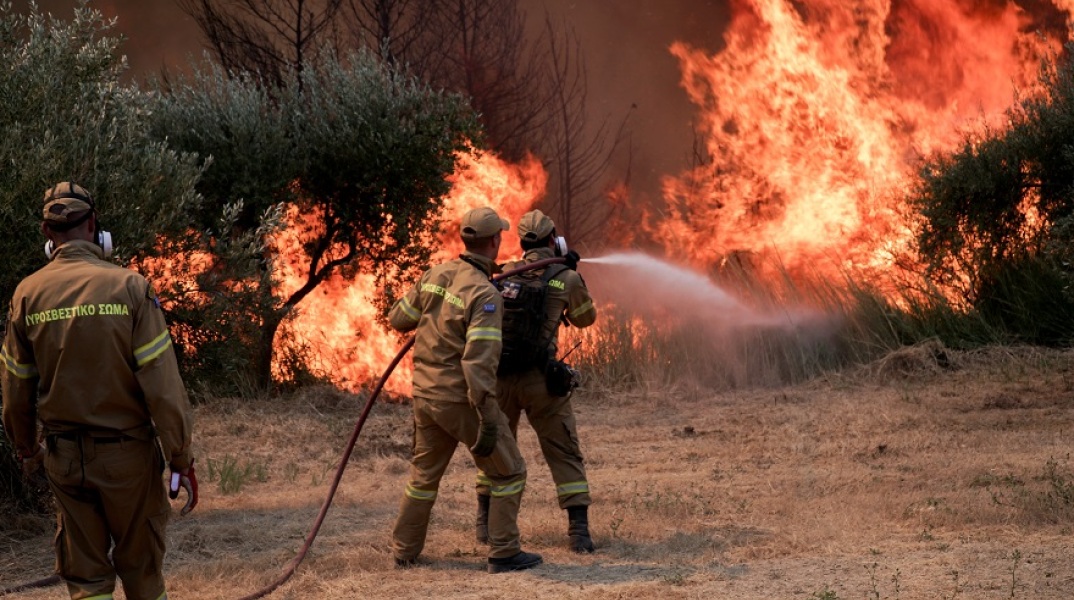 Φωτιά στην περιοχή Χελιδόνι στην Ηλεία - Δύσκολη μάχη των πυροσβεστών 