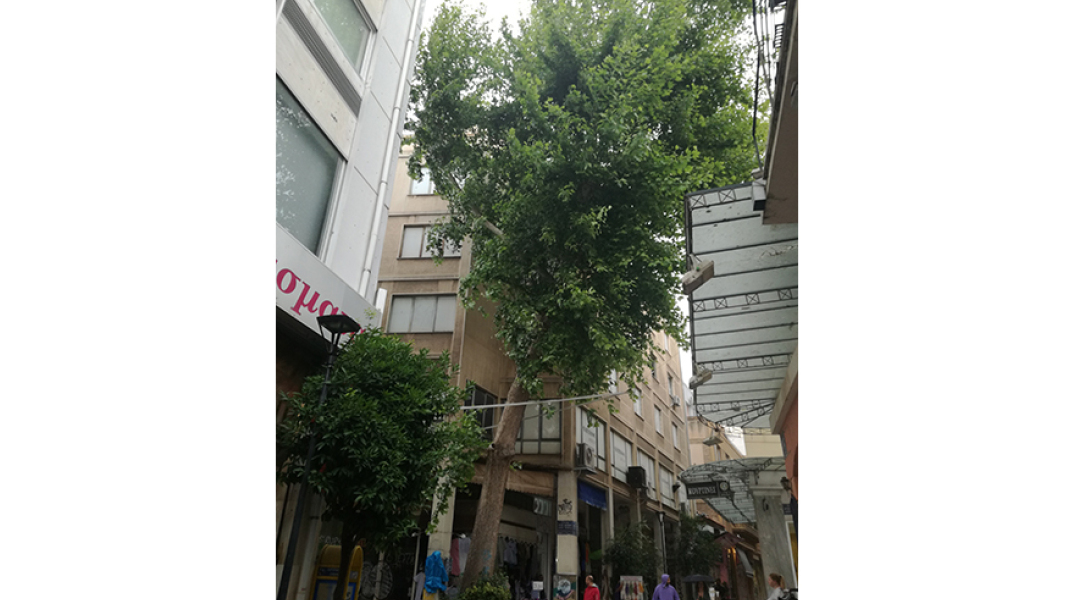 Η οδός Μιλτιάδου 