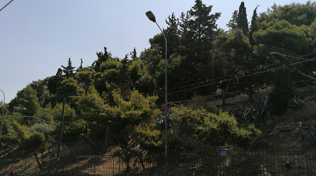 Λόφος Αρδηττού