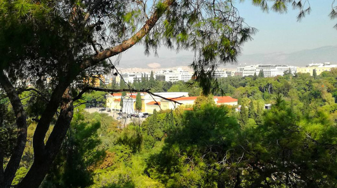 Λόφος Αρδηττού