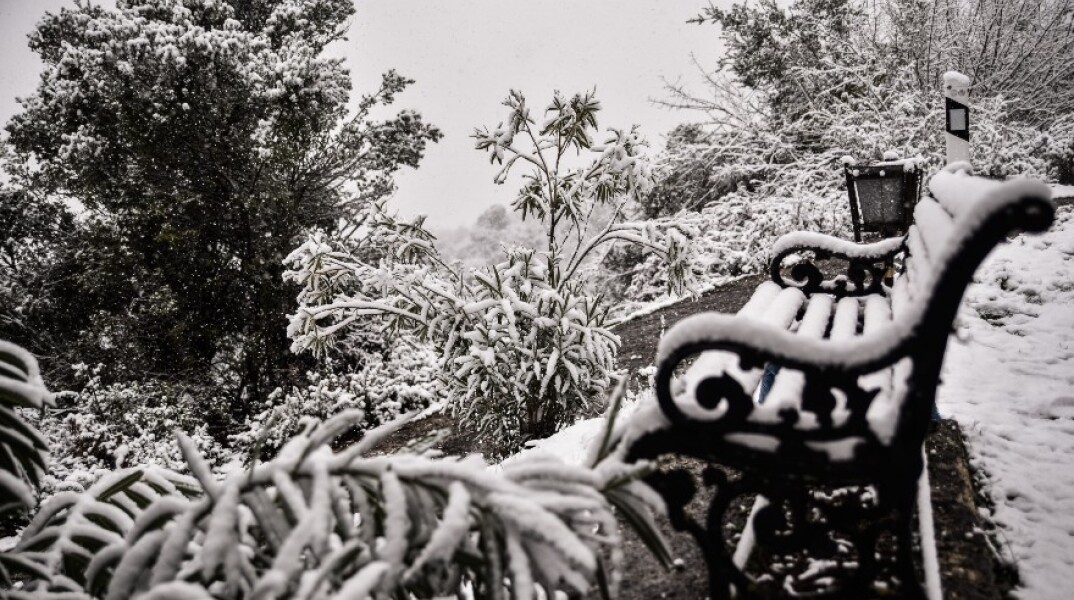 Σε λευκό τοπίο έχει μετατραπεί και η περιοχή των Ιωαννίνων