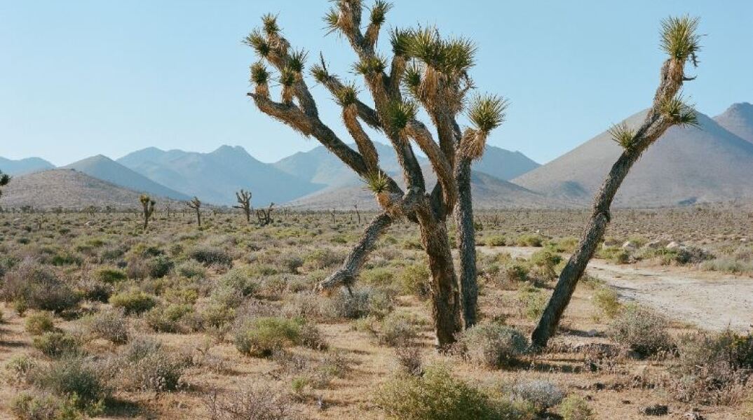 Κοιλάδα του Θανάτου στην Καλιφόρνια 