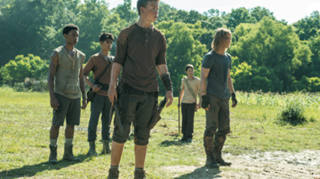 The Maze Runner