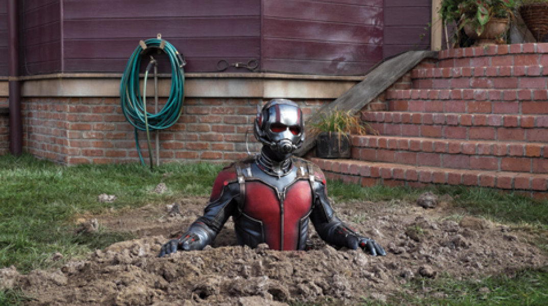 Ant Man
