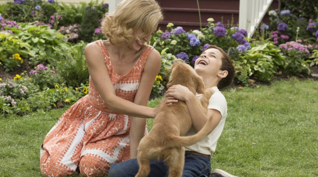 A Dog's Purpose