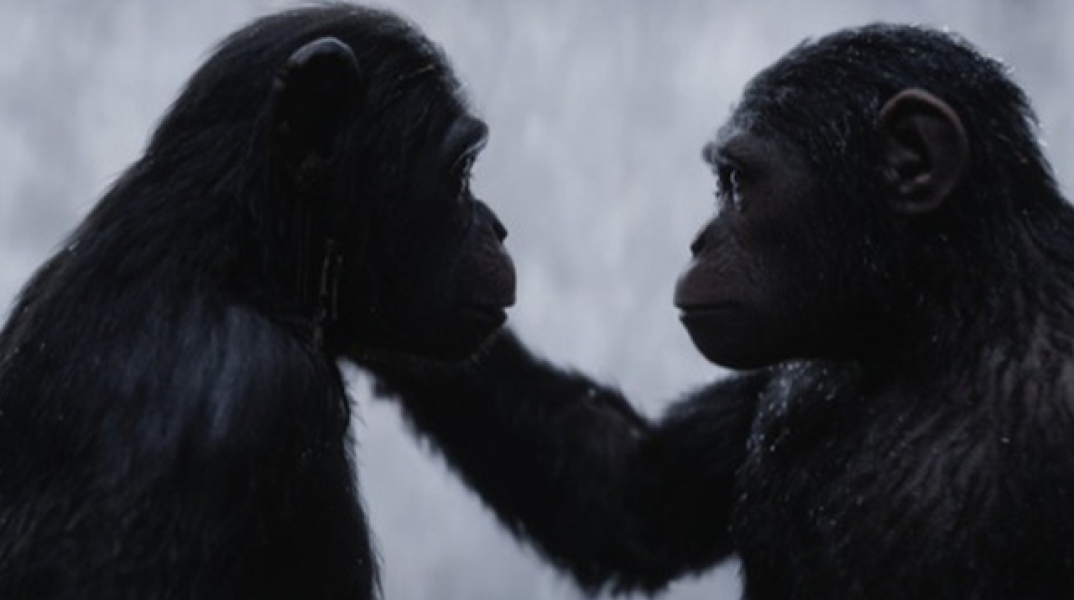 War for the Planet of the Apes