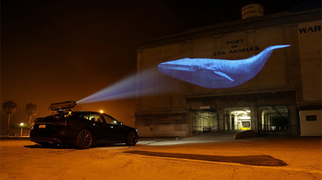 Racing Extinction