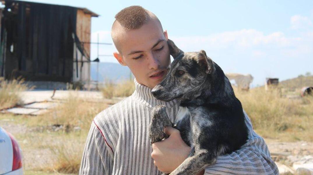 Greek Animal Rescue