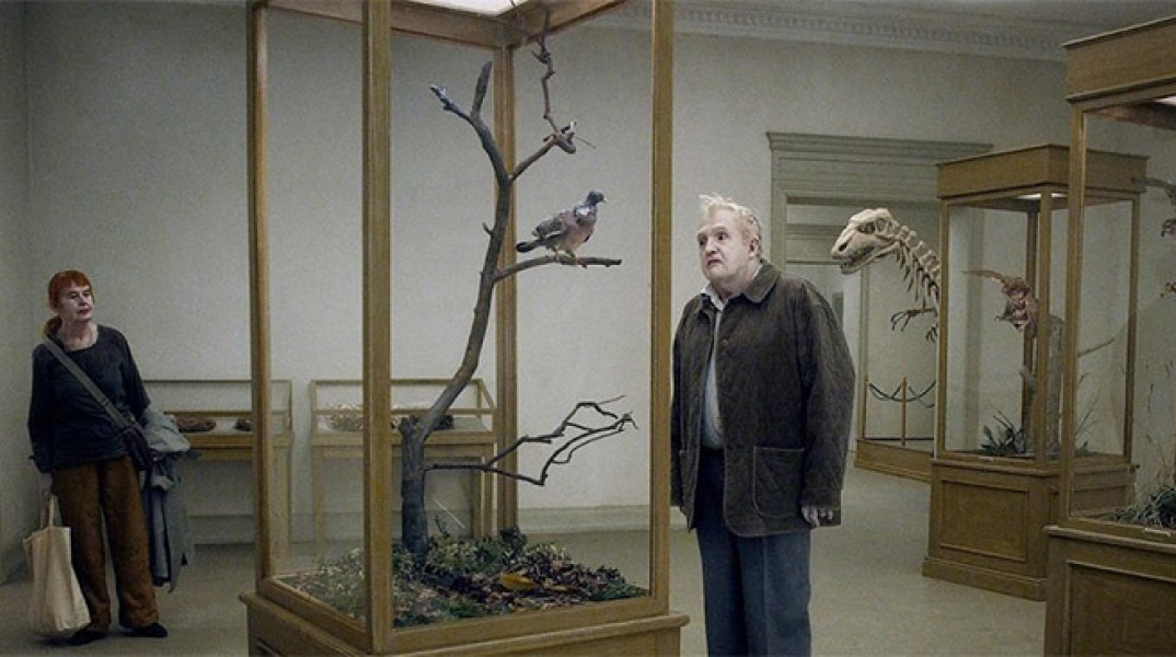 A Pigeon Sat on a Branch Reflecting on Existence