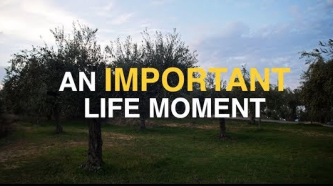 The Olive Oil Of Messinia