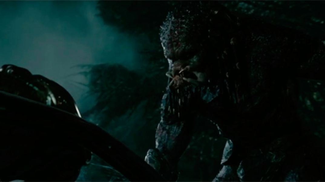 The Predator