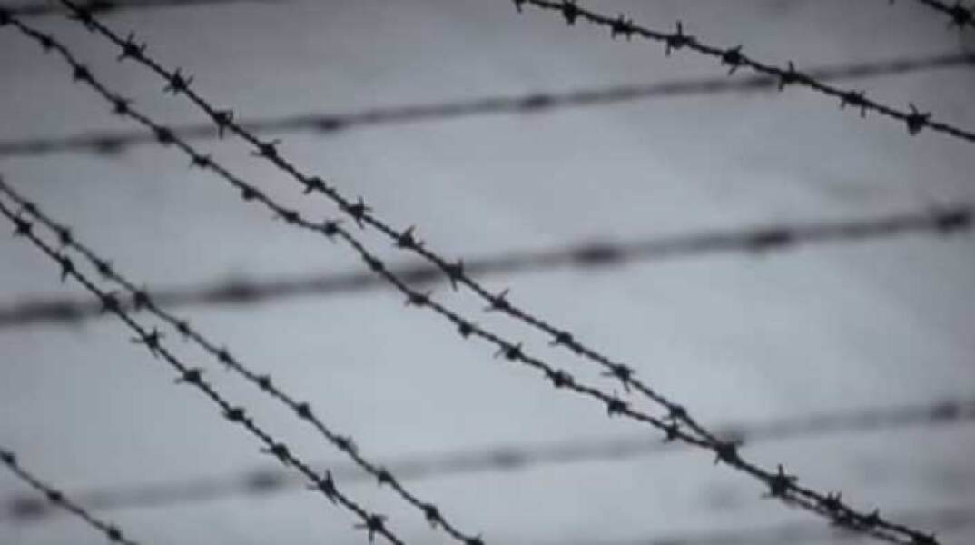 Triumph over violence