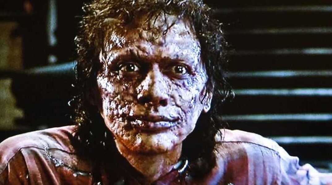 The Fly