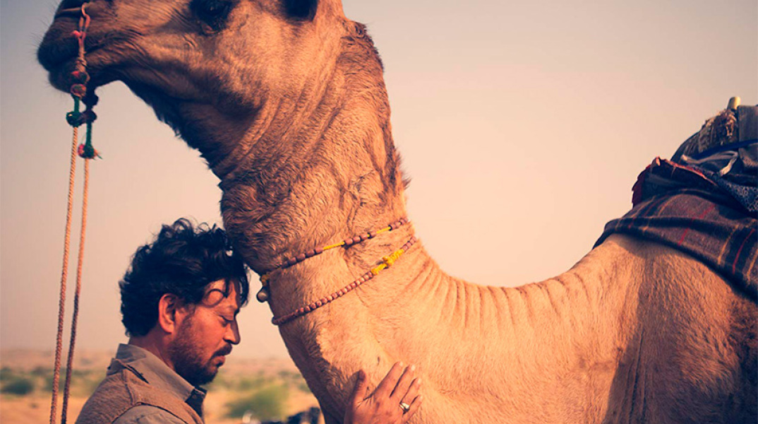 The Song of Scorpions