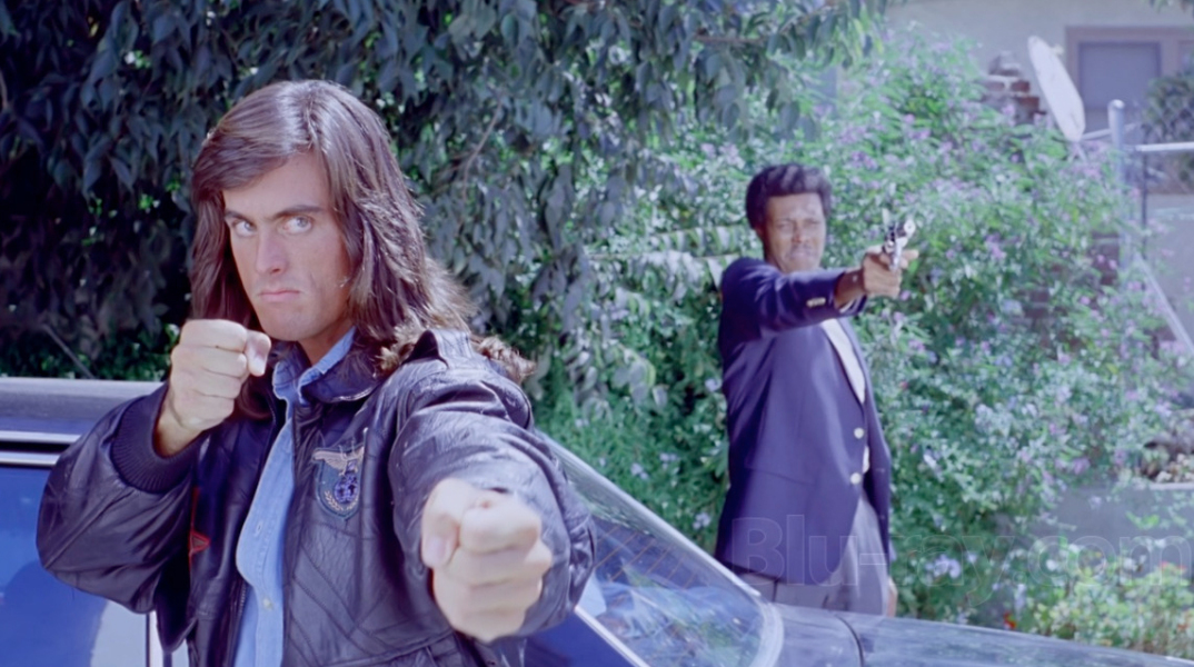 Samurai Cop