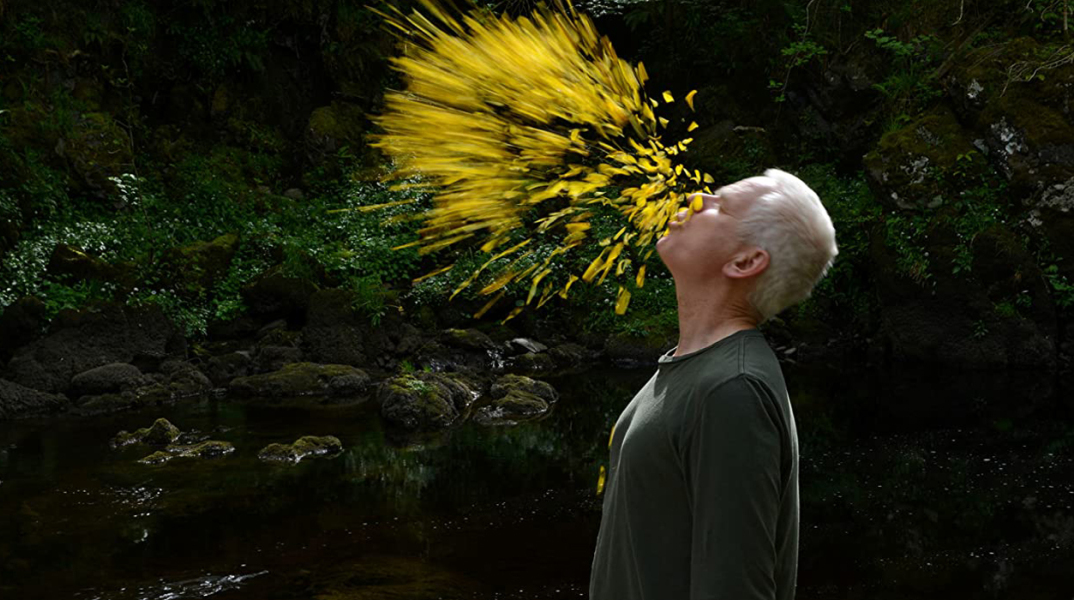 Leaning into the Wind: Andy Goldsworthy
