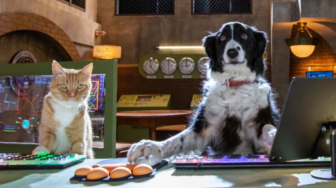 Cats & Dogs 3: Paws Unite (subbed)