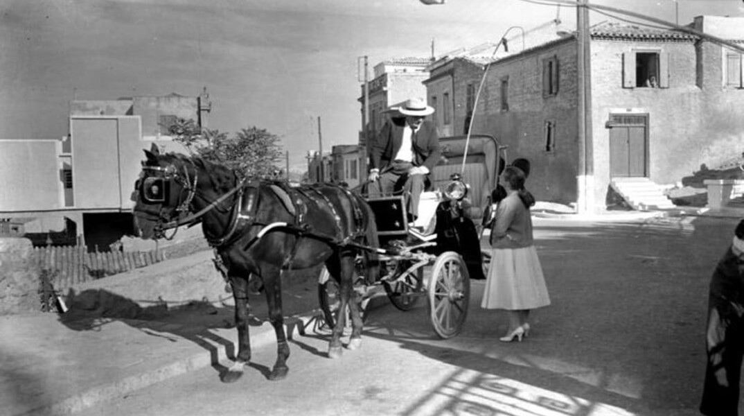 Horse and Carriage