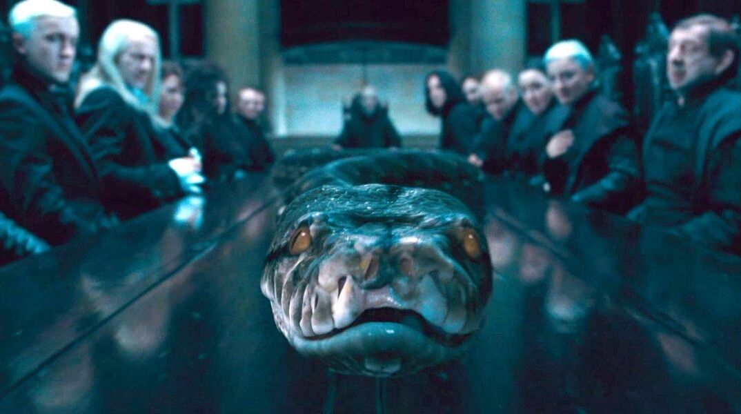 nagini.jpg